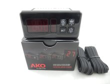 01 62 31 DIGITAL THERMOSTAT AKO D14323 0011PROBE2